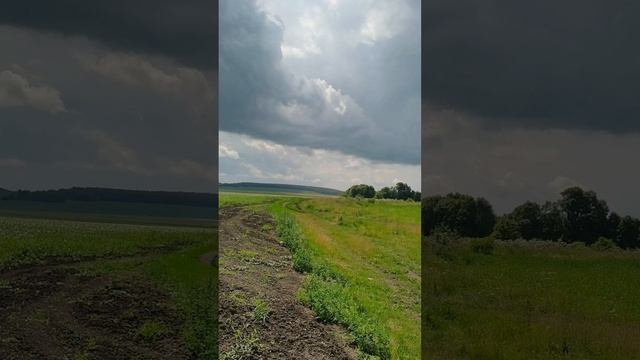 Зосима пчёльник. Записки из Тургеневских мест Отшельника Мценского уезда.