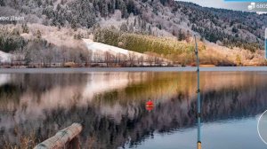 Как и где ловить# Миссисипский панцирник#my fishing world