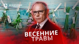 Весенние травы — Самые шокирующие гипотезы с Прокопенко