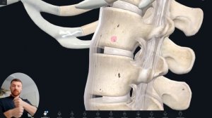Нестабильность позвоночника | Смещение позвонков | Игорь Захаркевич