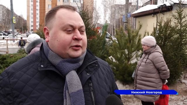 Незаконная торговля елками пресекается в Нижнем Новгороде