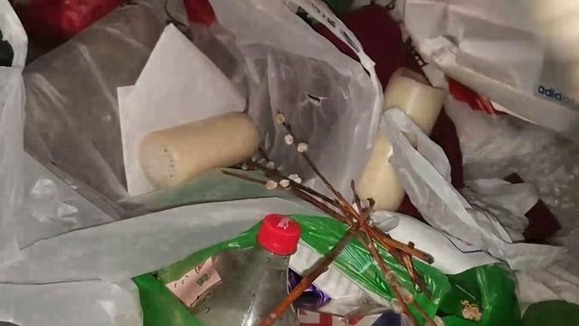 НАШЁЛ 20 ФУТБОЛОК, ПАРОВАРКУ, ВЕТРОВКИ! Находки на мусорке! День 169-171. смотреть онлайн