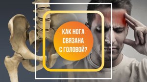 Как нога связана с головой?