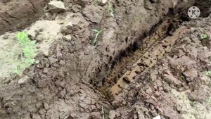 как выкопать котлован под фундамент.