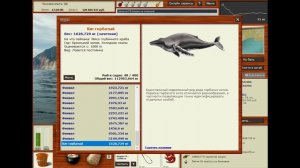 РР 3 99 , Кроноцкий залив , Киты