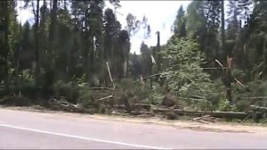 23.07.2016 За грибами после урагана