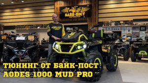 ПРОЕКТ AODES 1000 MUD PRO ЯРКИЙ ЧЕРНО-ЖЕЛТЫЙ КВАДРОЦИКЛ