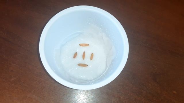 Попытка номер 5. посев семян адениума без земли 01.09.21г #адениум#арабикум#семенамикс смотреть онлайн