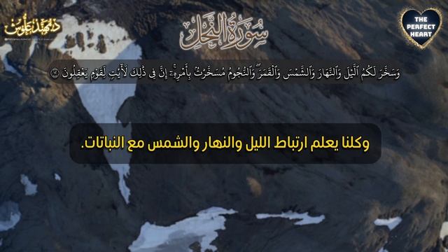 Ep 07| Life Lessons and Spiritual Insights | الحلقة ٧ | تأملات في سورة النحل: دروس حياتية وروحية