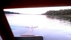 Прогрес 4 + Вихрь 30