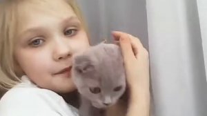 1 часть как. Ухаживать за котятами