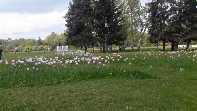 ??? ПРИРОДА В МАЕ - ПРОЙДЕМСЯ ВМЕСТЕ !!! ??? смотреть онлайн