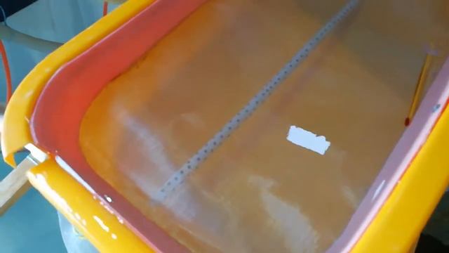 Инкубатор африканский сом смотреть онлайн