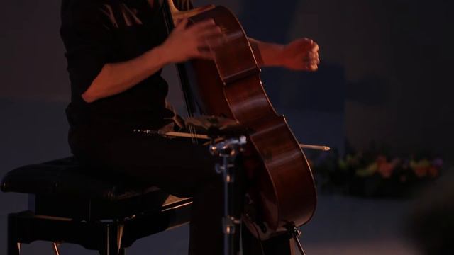 VIVACELLO 2015 год, 20 ноября,  Штефан Браун в МАММ смотреть онлайн