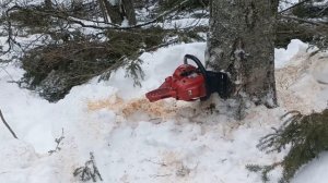 Зима.Дрова.Т 40 АМ.