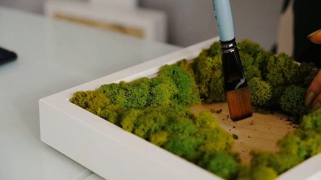 Чем занять ребенка в карантин? Фито-картина "Котик" своими руками (Тизер) смотреть онлайн