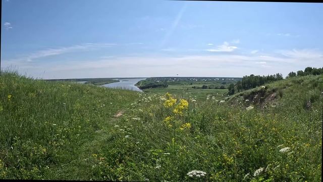 Руян на Оби. Вид с холма на село Уртам. Исчезающий цветок. Река Обь, Сибирь, Росссия, Лето,  Футаж