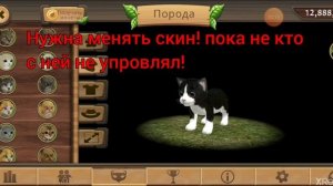 {Никогда не играй в cat sim в 3 часа ночи}??