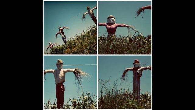 Гном Гномыч и Изюмка. Главы из книги. смотреть онлайн