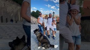 С собакой на Перевал Караванке/Мюнхен/Горшковский Тын/Замок Карштейн/Прага/Вильнюс/Тракайский замок