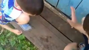 Игра в Монетку