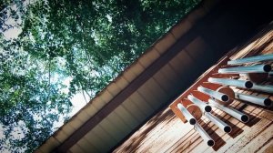 Музыка ветра