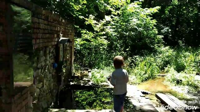 Родник в лесу - источник здоровья / Святой родник , живая вода/ Родниковая вода /spring