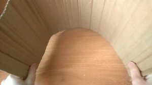 |DIY| МоСтИк|Игровая площадка для крыс своими руками