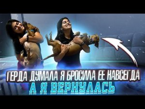 У Меня забрали камеру Я уехала в Новопавловск, Герда от радости чуть в обморок не упала