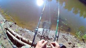 рыбалка на Кинеле