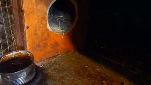 САМЫЙ  удобный  маточник  для  кроликов ( видео по заказу)..