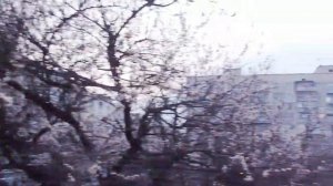 7 км  пешком. Злаяааа)))/Серьги/По кофейку!))/