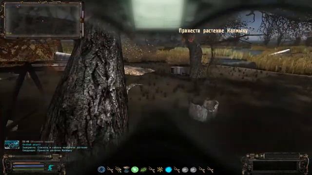 Сталкер ОП 2.1 Где искать цветок для Калмыка ! смотреть онлайн