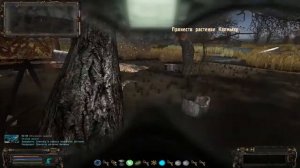 Сталкер ОП 2.1 Где искать цветок для Калмыка !