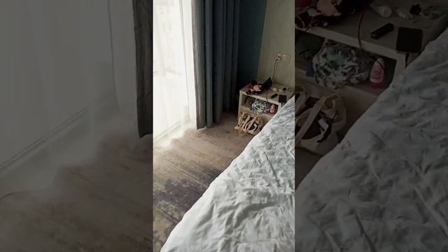 Отель А В Сокол Гагры обзор номера люкс смотреть онлайн