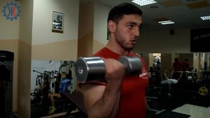 Качаем бицепс самые эффективные базовые упражнения