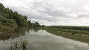 воблер юзури кренк 3д --летние зарисовки