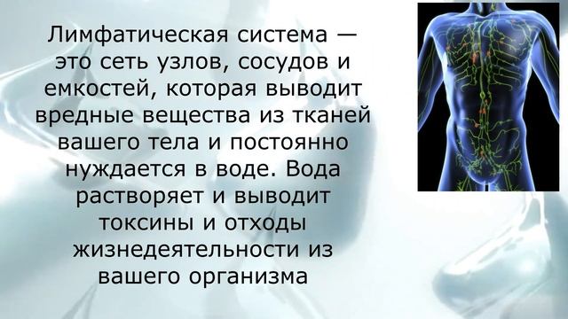 О пользе чистой питьевой воды смотреть онлайн