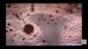 1. Коронавирус vs Организм. COVID-19 #коронавирус #Covid19 #вирус #china #russia #world