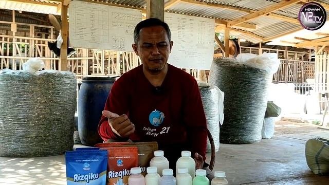 Peternak Sukses Hasilkan Produk Susu Unggulan Dan Jadi Pusat Study Banding