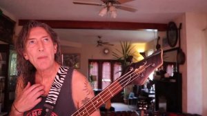 Four budget bass guitars demo, review, comparison