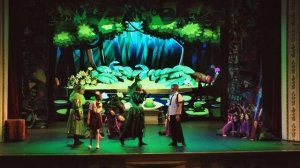 Маша и Витя против "Диких Гитар"