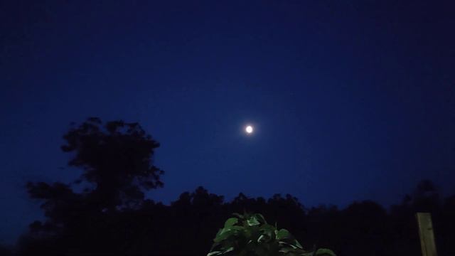 Славянск 19 июня 03:30 утро,воскресная сирена смотреть онлайн