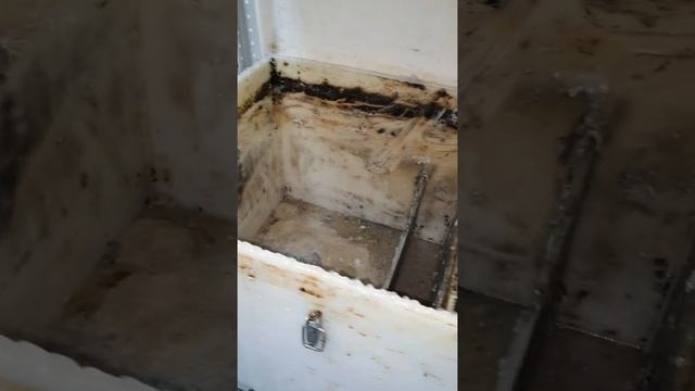 Чистка жироуловителя смотреть онлайн