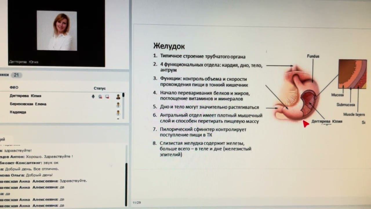 Так нужно ли часто кормить (кошек)?