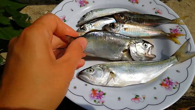 Черноморская рыбка смотреть онлайн