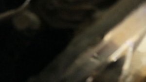 05-06 Honda CRV LED Headlight Install