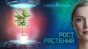 Laboraturium. Растения-рекордсмены