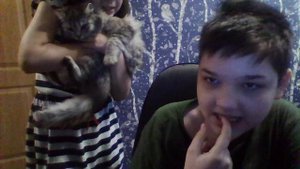 показываю всех котиков