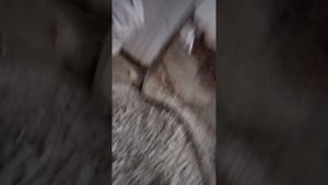 Уборка купершлака（пылесос для купершлака）Воздушный эжектор своими руками